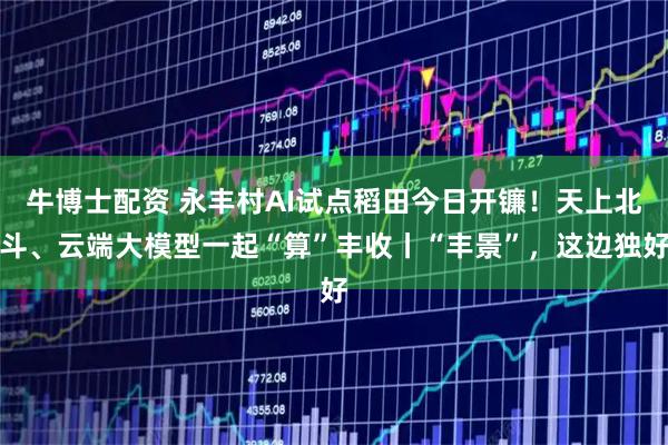 牛博士配资 永丰村AI试点稻田今日开镰！天上北斗、云端大模型一起“算”丰收丨“丰景”，这边独好